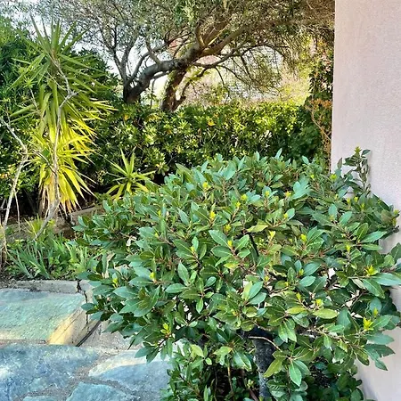 Avec Jardin Pour 6 Personnes A La Semaine